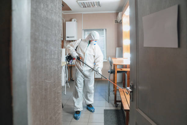 Best Mold Damage Restoration  in Fruitland, NC