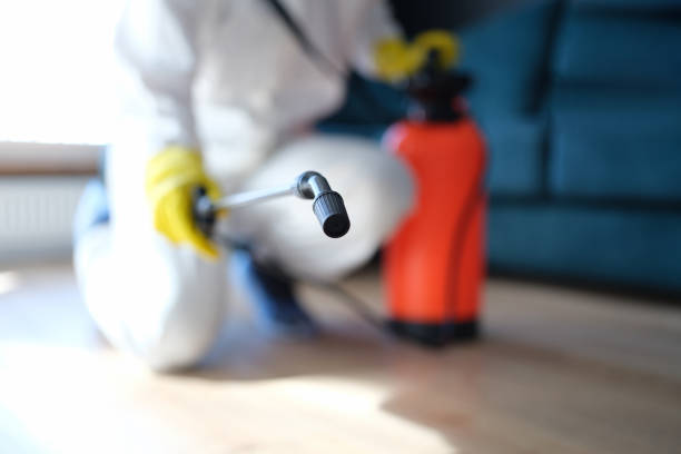 Best Environmental Consulting for Mold Prevention  in Fruitland, NC