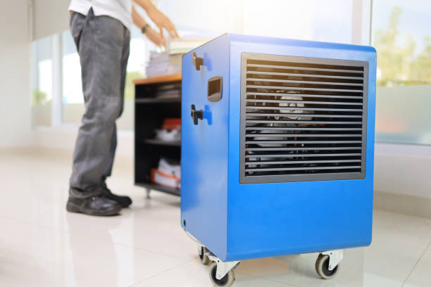 Reliable Fruitland, NC Mold Removal Solutions